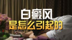 �����Ͱ����ԭ������Щ�أ�