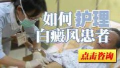 ����ɢ���Ͱ�������������