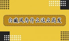 ����Ϊʲô��ô�߷�