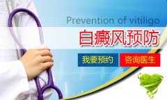 ��������Ԥ��Ӧ������