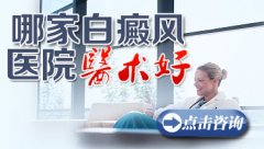 治疗白癜风哪家医术好