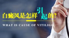 ��������Ϊʲôԭ�������